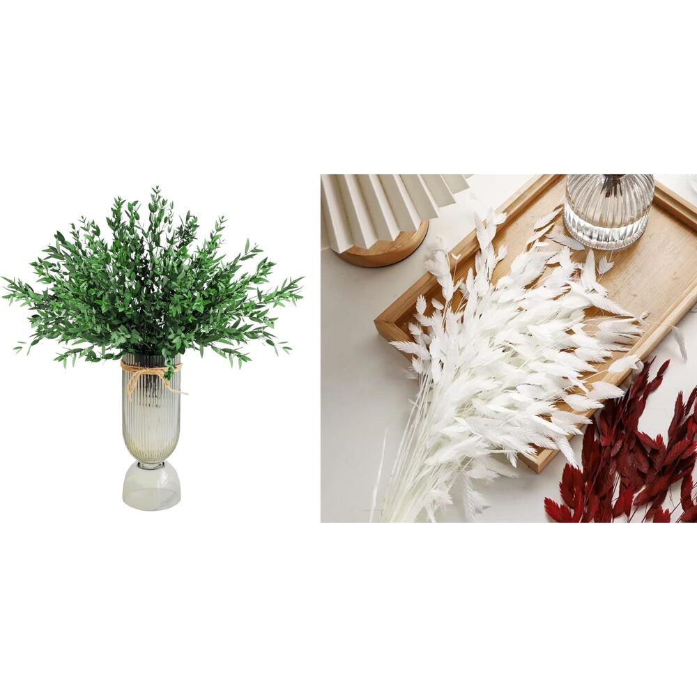 1560 50pcs Dried Eucalyptus Leaves Dried River Oats, Dried Chasmanthium - Picture 1 of 9